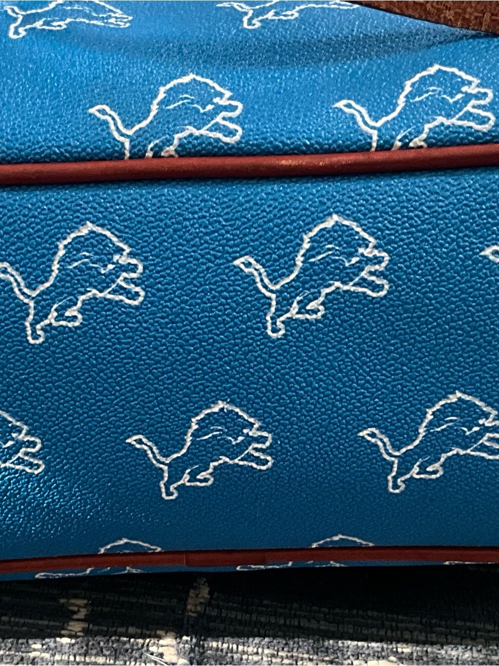 Dooney & Bourke Detroit Lions Richmond Purse - Picture 5 of 7